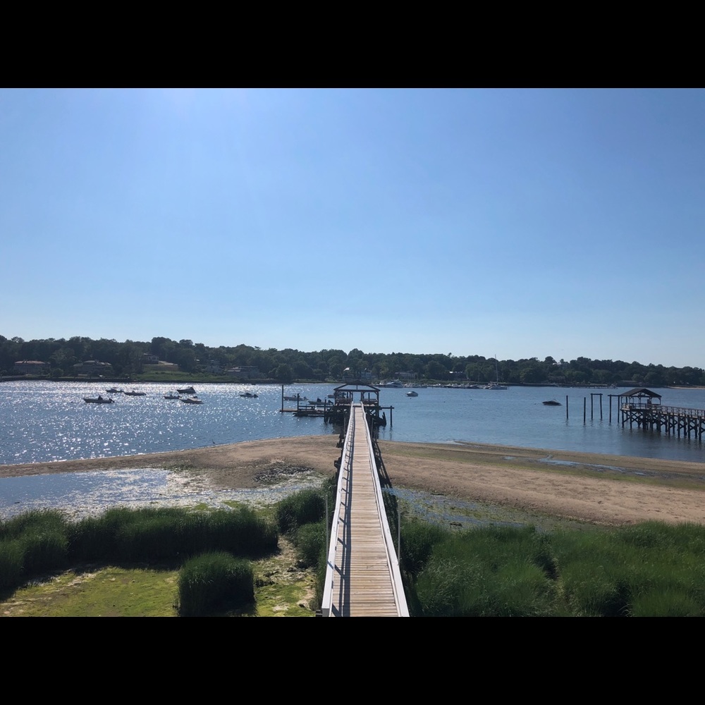 Meet your Posher, Ella